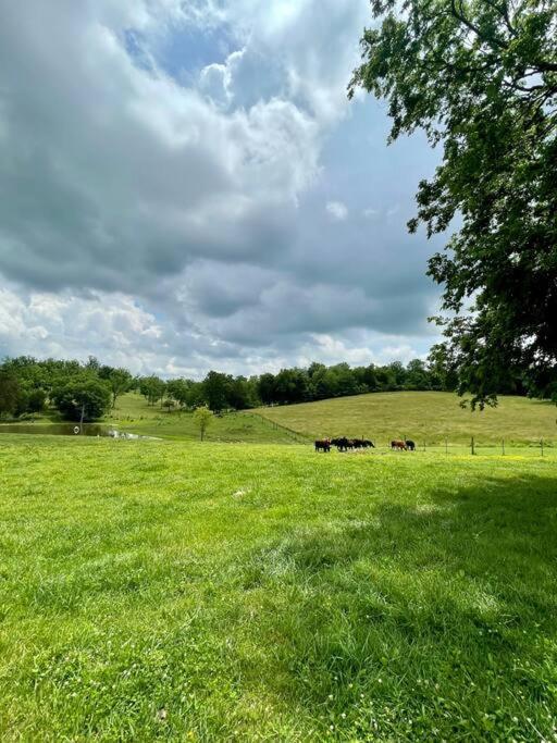 Bourbon Trail Cabin On The Farm Lawrenceburg Esterno foto