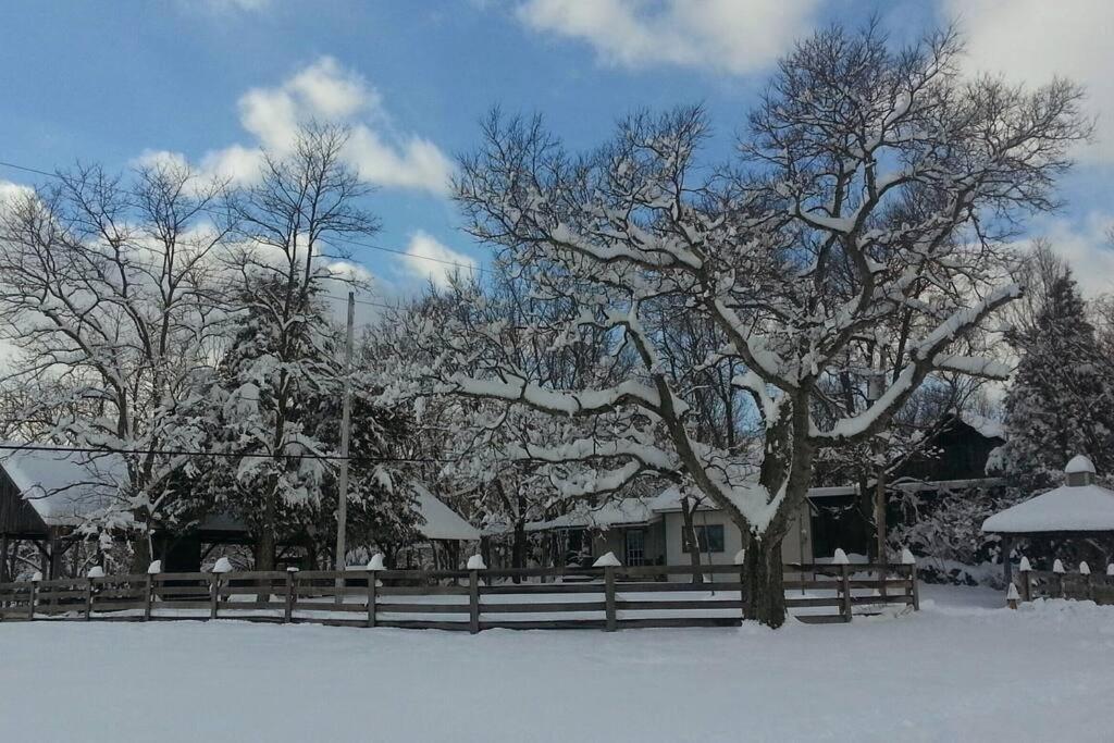Bourbon Trail Cabin On The Farm Lawrenceburg Esterno foto