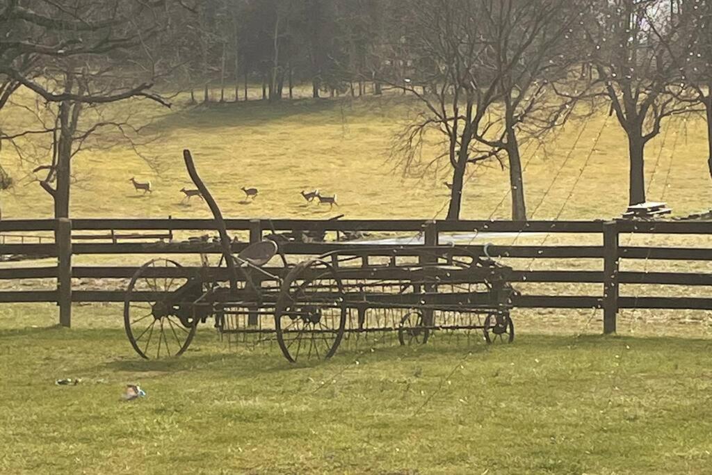Bourbon Trail Cabin On The Farm Lawrenceburg Esterno foto